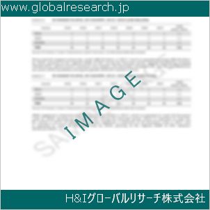 グローバルリサーチ調査資料のイメージ